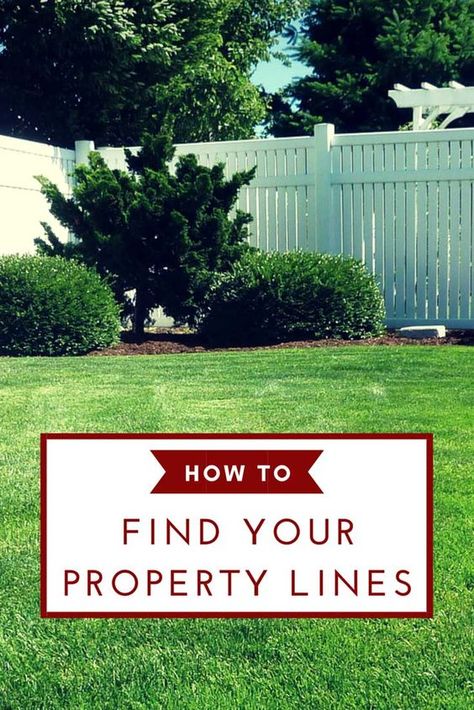 Property Divider Front Yard, Property Line Privacy Ideas, Property Divider Ideas Outdoor, Property Line Fence Ideas, Property Line Ideas, Property Line Landscaping Front Yards, Property Fence Ideas, Landscape Along Fence Line, Property Line Landscaping