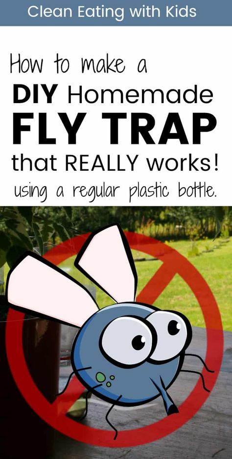 Fly Catcher Diy, Homemade Fly Traps, Diy Fly Trap, Clean Eating With Kids, Bug Spray Recipe, Reuse Old Tires, Fly Catcher, Garden Plot, Fly Paper