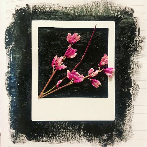 Paint, pressed flowers & a Polaroid frame. | Polaroid Journal | Self-Care Journal | Art Journal | lalalove.blog Polaroid Frame Painting, Polaroid Journal, Frame Polaroid, Ib Art, Polaroid Frame, Journal Art, Frame Painting, Pressed Flowers, Painting Frames