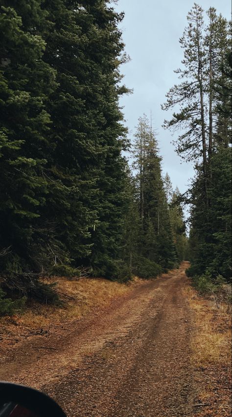 Oregon Town Aesthetic, Rural Oregon, Pnw Vibes, Catherine Cowles, Oregon Aesthetic, Gods Country, Dnd Stuff, Southern Oregon, Small Towns