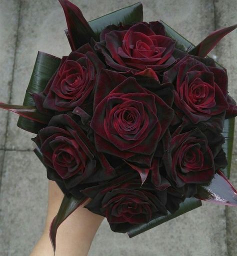 Crimson Red And Black Wedding, Gothic Quinceanera, Crimson Red Wedding, Black Baccara Roses, Gothic Bouquet, Crimson Wedding, Dark Red Wedding, Black Baccara, Dark Romantic Wedding