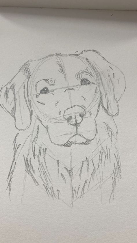 Cool Drawings Of Animals, Sketch Of Golden Retriever, Sketch Book Animal, Dogs Drawing Sketches, Golden Retriever Simple Drawing, Realistic Dog Sketch, Drawing Of Dogs Sketches, Golden Retriever Watercolor Easy, Cat And Dog Sketch