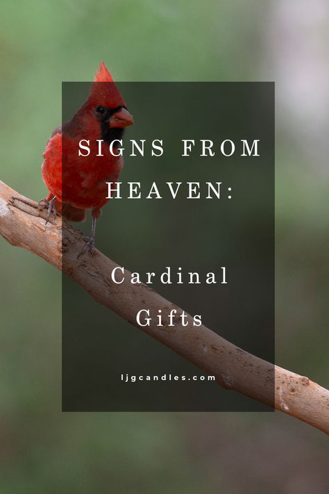 A collection of Cardinal gifts in remembrance of loved ones in Heaven. Cardinals are commonly considered a sign from Heaven and this collection of ornaments, keychains, and decor are the perfect memorials. Candle Names, Cardinal Gifts, Personalized Memorial Candles, Memorial Candles, Unique Sympathy Gifts, Signs From Heaven, Messages From Heaven, Loved One In Heaven, Remembrance Jewelry