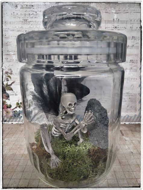 Dead Fairy in a Jar. Fairy specimen, fairy skeleton, Fairy Terrarium Skeleton In A Jar, Skeleton Terrarium, Skeleton Fairy Diy, Fairy Skeleton In A Jar Diy, Skull In Jar, Skeleton Fairy In A Jar, Skeleton Crafts, Halloween Terrarium, Skeleton Fairies