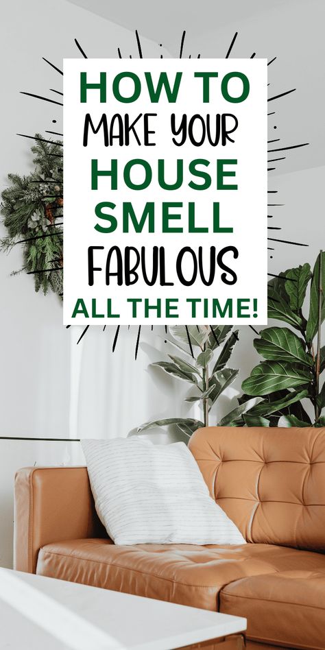 These fresh smelling home hacks will have your house smelling good all the time. Get rid of that stinky house once and for all. If you ever wondered how to make your house smell good naturally all the time, you need these diy hacks. How to make your house smell good always diy recipes with fabric softener, esssential oils, stove top simmer pots with orange peels or with cinnamon sticks, and with or without air freshener. How to make your house smell good with pets for open house or every day. Smell Good Naturally, Clean House Smell, Towels Smell, Best Home Fragrance, Smelling Good, Easy Diy Hacks, House Smell Good, Easy Cleaning Hacks, Diy Cleaning Solution