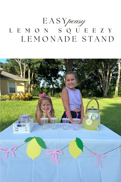 Easy Peasy Lemon Squeezey Lemonade Stand Easy Lemonade Stand, Lemonade Stand Decor, Lisa Frank Birthday Party, Spring Chalkboard, Diy Lemonade Stand, Diy Lemonade, Bow Garland, Summer Math, Bowling Party