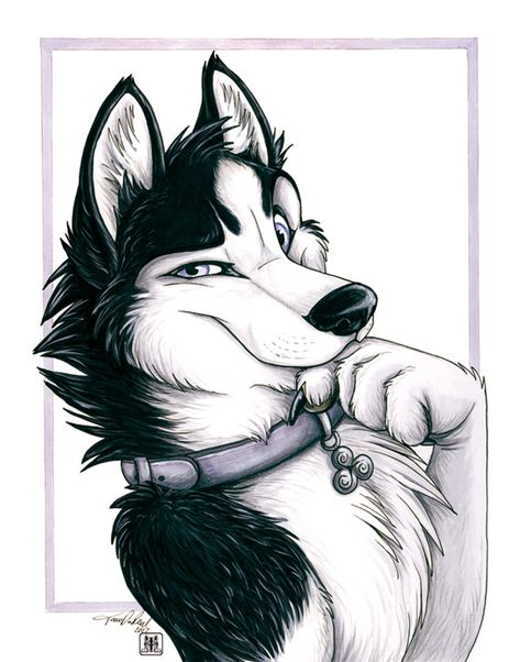 Hmmmm by TaniDaReal on DeviantArt Husky Drawing, A Husky, Anime Wolf, Anime Animals, Wolf Art, Cartoon Animals, Life Art, Cool Drawings, Animal Art