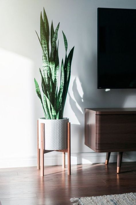 Mid Century Modern Plant Stand, Mid Century Modern Plants, Decoration Pieces, نباتات منزلية, Modern Plant Stand, Wood Decoration, Decor Ikea, التصميم الخارجي للمنزل, Decoration Plante