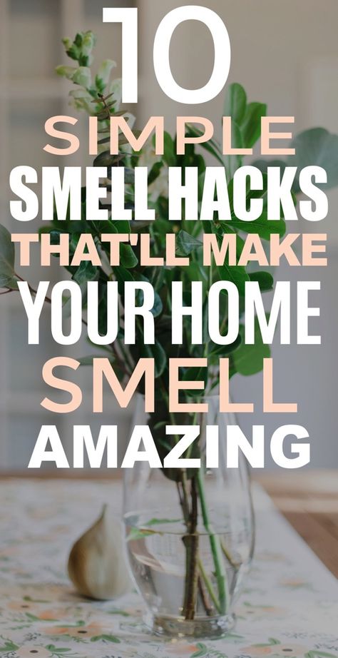 Want your home to smell good all the time? Here are 10 DIY home smell hacks that’ll keep your home smelling good without breaking the bank. #ChasingFoxes #SmellHacks Life Hacks For Home, House Smell Good, Bathroom Smells, Home Smell, Quick Diy, Smell Amazing, House Smell, Up House, Family Handyman