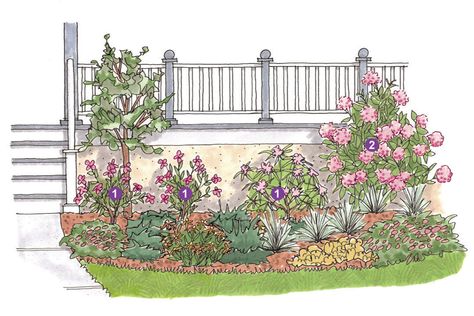 Perennial Garden Plans, Evergreen Landscape, Evergreen Flowers, Flower Garden Plans, Flower Bed Designs, Evergreen Garden, Front Yard Garden Design, Front Landscaping, Garden Design Plans