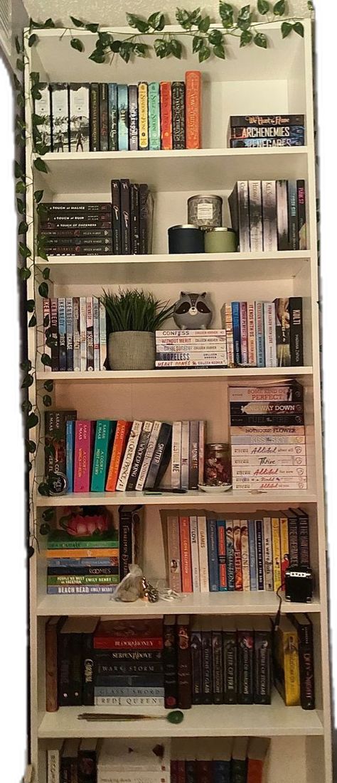 Aesthetic Bookshelf, Bookshelf Aesthetic, Bookshelf Inspiration, Cozy Room Decor, Dream Room Inspiration, Room Makeover Bedroom, Room Makeover Inspiration, Cute Room Decor, Cozy Room