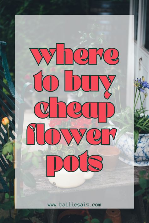 Flower Pot Alternatives, Cheap Flower Pot Ideas, Cheap Planter Ideas, Unique Pots For Plants, Cheap Plant Pots, Flower Pots Ideas, Cheap Planters, Budget Flowers, Diy Flower Pot