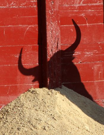 bull. shadow. Taurus Mars Aesthetic, Bull Rider Aesthetic, Bull Riding Aesthetic, Toro Aesthetic, Roadkill Animals, Bull Aesthetic, Taurus Mars, Bull Monster, Tavros Nitram