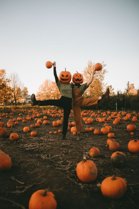 Pumpkin Head Photoshoot at the pumpkin patch Ghost Photoshoot Pumpkin Patch, Plus Size Pumpkin Head Photoshoot, Pumpkin Pics With Friends, Fall Photos Pumpkin Patch, Pumpkin Mask Photoshoot, Punkin Head Pictures, Fall Senior Pictures Pumpkin Patch, Pumpkin Patch Group Pictures, Haunted Pumpkin Patch Ideas