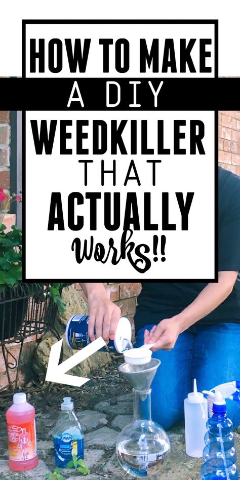 Home Made Weedeater, How To Kill Weeds Naturally, How To Kill Weeds Permanently, Gardening Binder, Homemade Cleanser, Florida Gardens, Kill Weeds Naturally, Killing Weeds, Kill Weeds