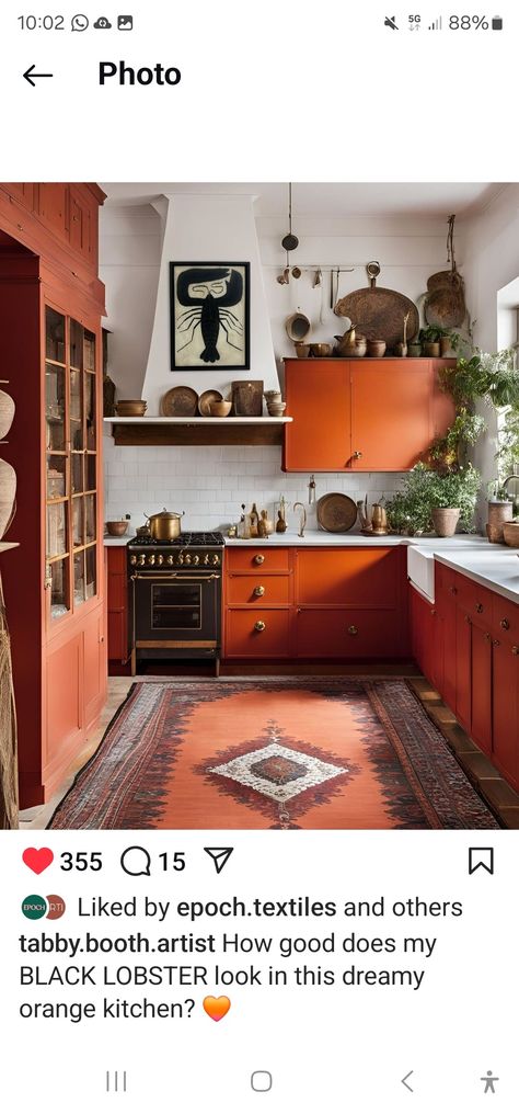 Rust Kitchen Cabinets, Terracotta Kitchen Walls, Terracotta Kitchen, Painted Kitchen Cabinets, Cottage Interior Design, Kitchen Walls, Painted Kitchen, Cottage Interior, Red Kitchen