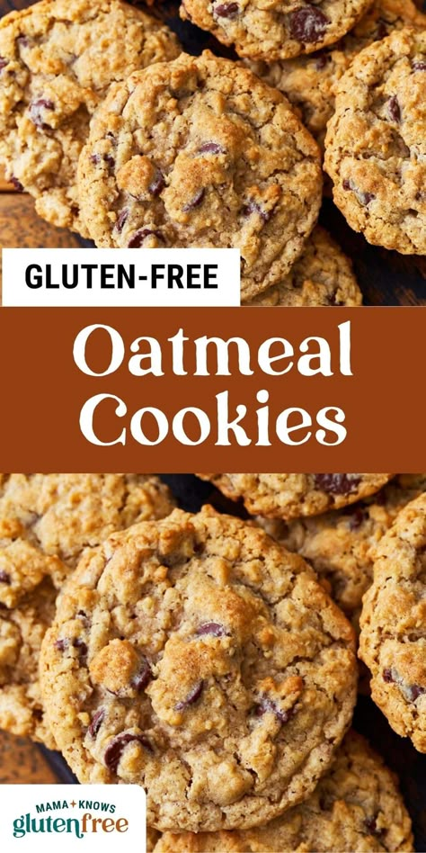 These gluten-free oatmeal cookies are soft and chewy on the inside with crispy edges and take just 20 minutes from start to finish! Oatmeal Cookies Gluten Free, Instant Oatmeal Cookies, Mama Knows Gluten Free, Gluten Free Cookies Easy, Gluten Free Cookie Dough, Gluten Free Oatmeal Cookies, Gluten Free Christmas Cookies, Oatmeal Cookies Easy, Cookie Recipes Oatmeal Raisin