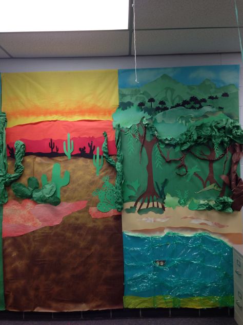 Habitat bulletin boards Landforms Bulletin Board Ideas, Habitat Bulletin Board Ideas, Ecosystems Bulletin Board, Habitats Bulletin Board, Ecosystem Bulletin Board, Desert Bulletin Board, 2nd Grade Habitat Project, Grade 4 Habitats, Habitat Lessons 2nd Grade