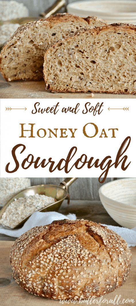 Honey Oat Sourdough, Soft Sourdough Bread, Recipe Using Sourdough Starter, Sourdough Starter Discard Recipe, Homemade Sourdough Bread, Pain Au Levain, Sourdough Starter Recipe, Honey Oats, Sourdough Baking