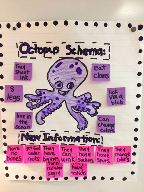 Schema, ocean, octopus,new information, non-fiction, interactive read aloud Marine Crafts, Ocean Activities Preschool, Water Study, Daycare Lesson Plans, Ocean Theme Preschool, Ocean Projects, Ocean Octopus, Fish Theme, Ocean Unit