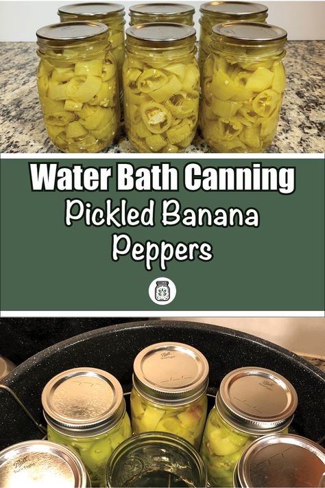 Master the art of water bath canning with this easy-to-follow recipe for pickled banana peppers! Perfect for beginners and seasoned canners alike, our detailed guide covers everything from preparation to sealing jars. Add a burst of flavor to your dishes with these tangy, crisp peppers. Start canning today and enjoy the taste of homemade pickles all year long. Click to learn more! #WaterBathCanning #PickledPeppers #BananaPeppers Ball Canning Banana Peppers, Homemade Pickled Banana Peppers, Jarred Banana Pepper Recipe, Canning Recipe For Banana Peppers, How To Jar Banana Peppers, Serrano Pepper Canning Recipes, Pickling Banana Peppers Canning, Water Bath Banana Peppers, Canning Banana Peppers Water Bath