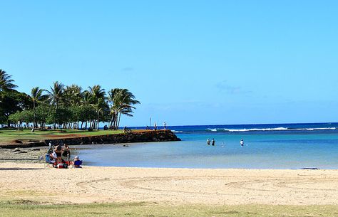 Ala Moana Beach Park, Ala Moana Beach, Oahu Beaches, Moon Beach, Ala Moana, Marriott Resorts, Magic Island, Shady Tree, Hawaii Trip