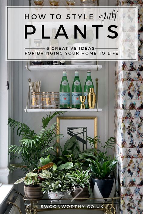 How to Style with Plants - 6 Creative Ideas for Bringing Your Home to Life Monstera Plant Decor Ideas, Plant Staging Indoors, Shelf Styling With Plants, Indoor Plant Grouping Ideas, Arranging Plants In Living Room, Grouping Plants Together Indoors, How To Style Plants Indoors, Plant Styling Ideas, Decorate With Plants Indoors