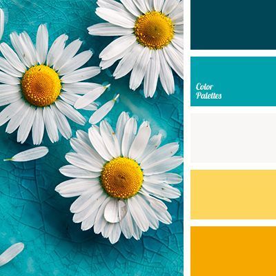 Flat Bedroom, Color Combinations Paint, Color Schemes Colour Palettes, Kitchen Colour Schemes, White Daisies, Color Palate, Design Seeds, Living Room Bathroom, Color Inspo