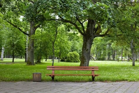 Park Background Landscape, Aesthetic Park, Park Images, Landscape Park, Park Background, Park Aesthetic, Revival Architecture, Park View, Outdoor Park