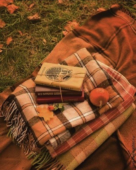 Aesthetic Era, Red Taylor, Taylor Swift Album, Taylor Swift Wallpaper, Autumn Cozy, Warm Autumn, Autumn Aesthetic, Fall Wallpaper, Taylor Alison Swift