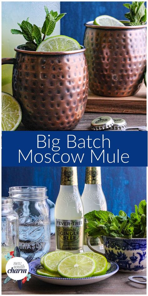 Big Batch Moscow Mules are the perfect cocktail to serve at your next party of tailgate. This recipe makes 6-8 delicious and refreshing mules. Batch Moscow Mule, Citrus Cocktail, Frozen Drink Recipes, Champagne Recipes Cocktails, Moscow Mule Cocktail, Frozen Cocktail Recipes, Moscow Mules, Moscow Mule Recipe, Mule Cocktail