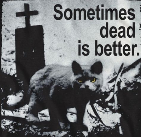 Pet Sematary, I Have No Friends, Room Posters, Stephen King, Series Movies, Horror Movies, Pet, Books, Horror Films