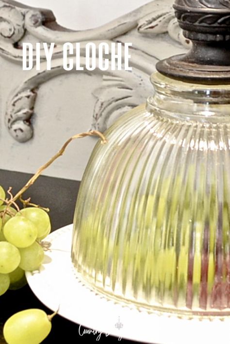 Light fixture globe cloche ideas Lamp Globes Repurposed, Repurpose Glass Light Shades, Repurpose Glass Light Globes, Glass Light Covers Repurposed, Glass Lamp Shades Repurposed, Glass Shades Repurposed, Repurpose Light Globes, Light Globes Repurposed, Old Light Fixtures Repurpose