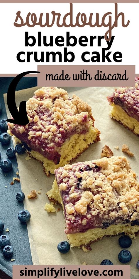 Blueberry Crumb Cake Recipe, Lemon Crumb Cake, Blueberry Crumb Cake, Recipe Using Sourdough Starter, Crumb Cake Recipe, Sourdough Starter Discard Recipe, Blueberry Coffee Cake, Homemade Sourdough Bread, Sourdough Starter Recipe