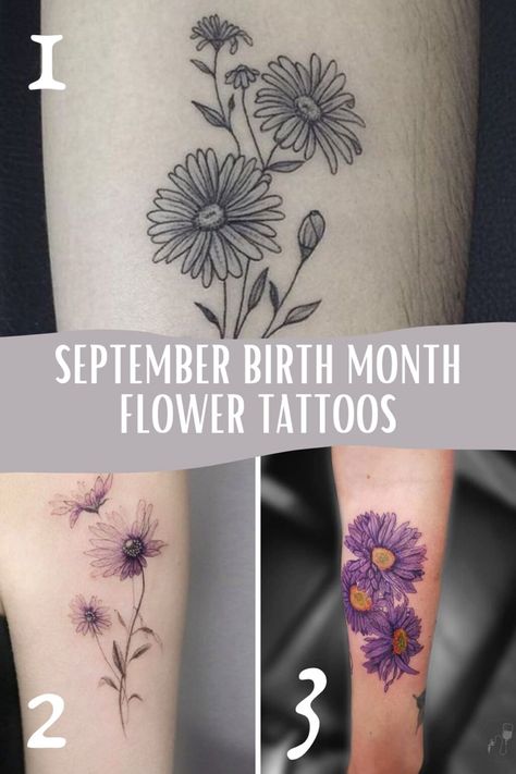 September Birth Flower Tattoo Ideas {The Aster} - Tattoo Glee Tattoo Ideas Flower Birth Month September, September Birth Month Tattoo, Asters Flower Tattoo, September Birth Flower Tattoo Ideas, September Flower Tattoo Birth Month, Aster Flower Tattoo Design, Birth Flower Tattoos September, Birthflower September Tattoo, Small Aster Flower Tattoo