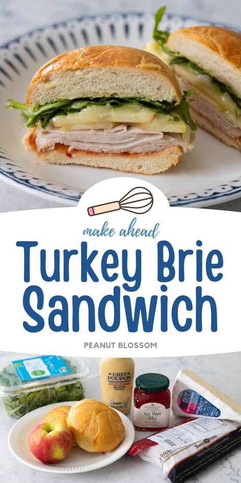 Turkey Brie Apple Sandwich, Turkey Apple Brie Sandwich, Turkey Brie Sandwich, Melted Brie, Brie Sandwich, Wraps Recipes Easy, Apple Sandwich, Lunch Meals, Peanut Gallery