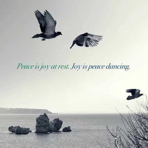 Peace and joy-interesting perspective! Buddha Groove, Poetic Quote, Live Your Truth, Inner Peace Quotes, Buddhist Quotes, Inspirational Phrases, Images And Words, Peace Quotes, Choose Joy