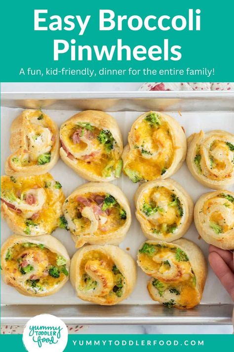 Broccoli cheese pinwheels on baking sheet. Broccoli Cheese Pinwheels, Wheat Pizza Dough, Quick Family Dinners, Cheese Pinwheels, Easy Toddler Meals, Whole Wheat Pizza, Pinwheel Recipes, Gluten Free Lunch, Healthy Lunches For Kids