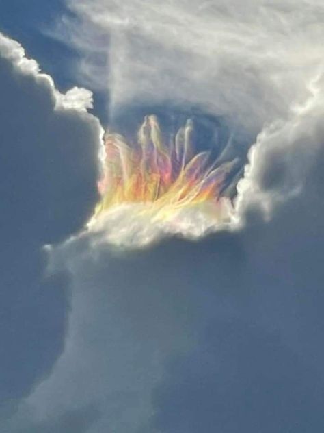 Angel Clouds, Cocoa Beach Florida, Strange And Unusual, Heaven Art, Back At It Again, Fire Rainbow, Atmospheric Phenomenon, Cocoa Beach, Rainbow Cloud