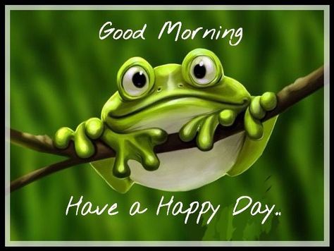 Good Morning and Have A Happy Day nik :)                                                                                                                                                      More Frosch Illustration, Frog Quotes, Funny Day Quotes, Good Morning Funny Pictures, Frog Pictures, Funny Good Morning Quotes, Morning Quotes Funny, Charcoal Drawings, Have A Happy Day