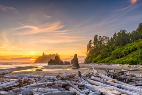 The Top 10 Olympic Peninsula Road Trip Stops | Select Registry Ruby Beach Washington, Date Spots, Rialto Beach, Cape Hatteras National Seashore, Point Reyes National Seashore, Dry Tortugas National Park, Redwood National Park, Beach Weekend, Koh Chang