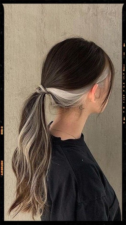 Hair Color Ideas Undercolor Hair, Underdye Hair, Hidden Hair Color, Color Block Hair, Underlights Hair, Hair Color Underneath, Peekaboo Hair, Brown Hair Dye, Short Brown Hair