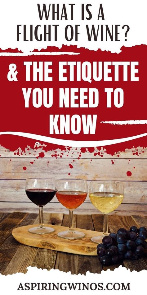 Wine Flights 101 | Wine Information | Wine Flights | Red or White Wine #WineFlights101 #WineInformation #WineFlights #RedOrWhiteWine Wine Flights Ideas, Wine Flight Boards, Aldi Wine, Wine Flight, Wine Cocktail Recipes, Deli Shop, Blog Success, Wine Varietals, Wine Education