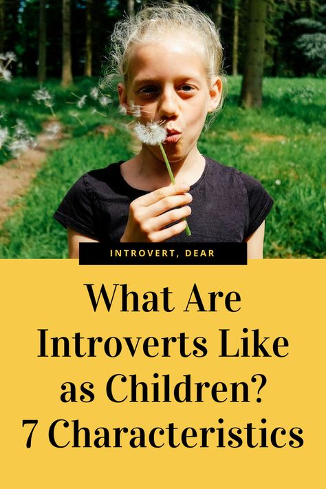 What Is An Introvert, Myer Briggs, Quiet Riot, Introvert Personality, Cognitive Functions, Character Prompts, Celebrate Recovery, Introvert Problems, Introverts Unite