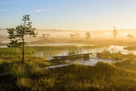 Soomaa National Park one of the best things to do in estonia outdoors Estonia Travel, Natural Pool, Modern Country, Nature Reserve, Travel Agency, Latvia, Nature Travel, Lithuania, Day Tours