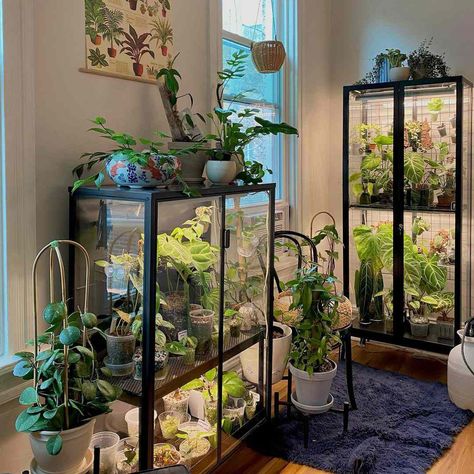 Indoor Glass Greenhouse, Gemstone Display Shelf, Plant Grow Room Ideas, Indoor Window Greenhouse, Greenhouse Inside House, Home Greenhouse Diy, Diy Greenhouse Inside, Indoor Greenhouse Ikea, Diy Greenhouse Cheap Easy Indoor