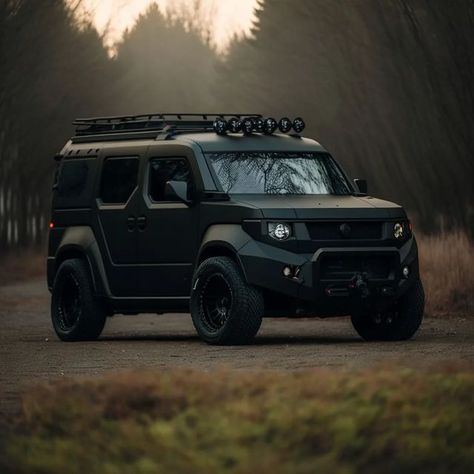 Lifted Honda Element, Honda Element Custom, Honda Element Mods, Honda Element Accessories, Honda Offroad, Honda Crv 4x4, Honda Van, Honda Element Camping, Honda Element Camper