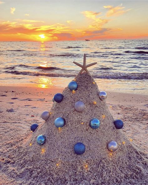 Christmas Beach Photos, Beach Christmas Pictures, Bissell Carpet Cleaner, Christmas Poses, Florida Christmas, Cool Kids Bedrooms, Xmas Photos, Christmas Sparkle, Hawaiian Christmas