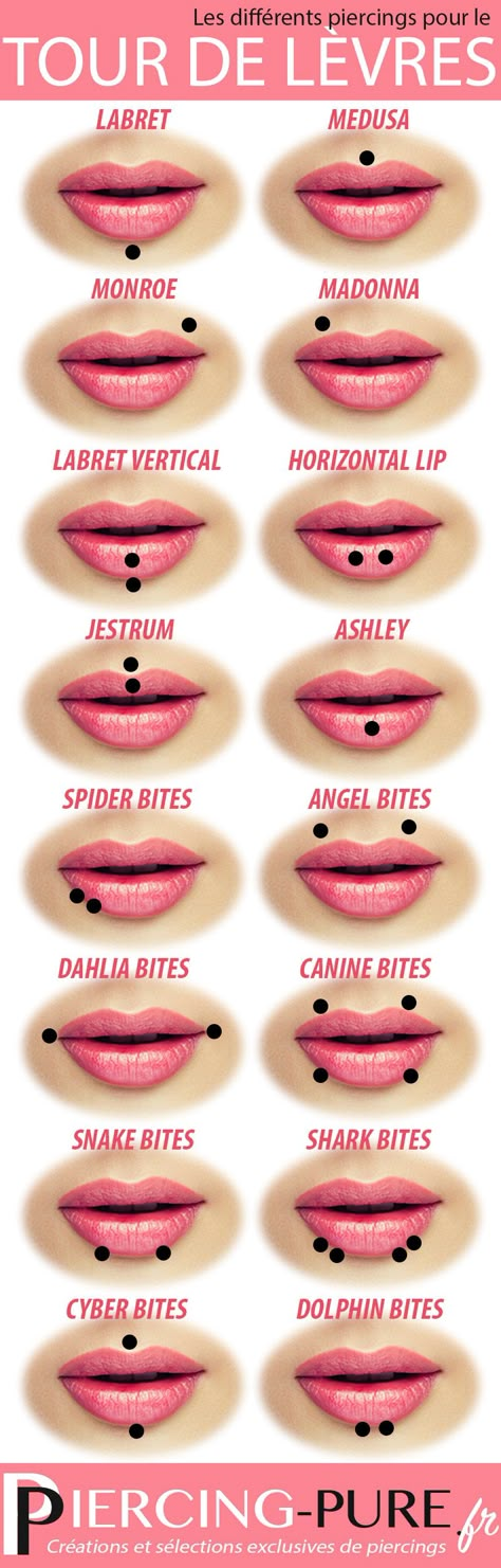 Les piercings pour tour de lèvres : labret, médusa, monroe, madonna, labret vertical, horizontal lip, jestrum, ashley, spider bites, angel bites, dahlia bites, canine bites, snake bites, shark bites, cyber bites, dolphin bites. Dahlia Bites, Dolphin Bites, Canine Bites, Piercing Facial, Labret Vertical, Angel Bites, Piercing Bouche, Mouth Piercings, Piercing Chart