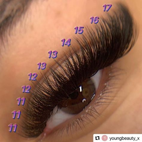 Cat Eye Lash Map, Lash Maps, Lash Map, Natural Fake Eyelashes, Best Lash Extensions, Lashes Tutorial, Lashes Fake Eyelashes, Eyelash Tips, Eyelash Technician